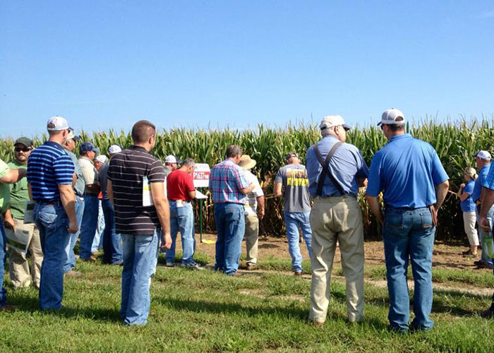 Crop Services at Hinton Mills