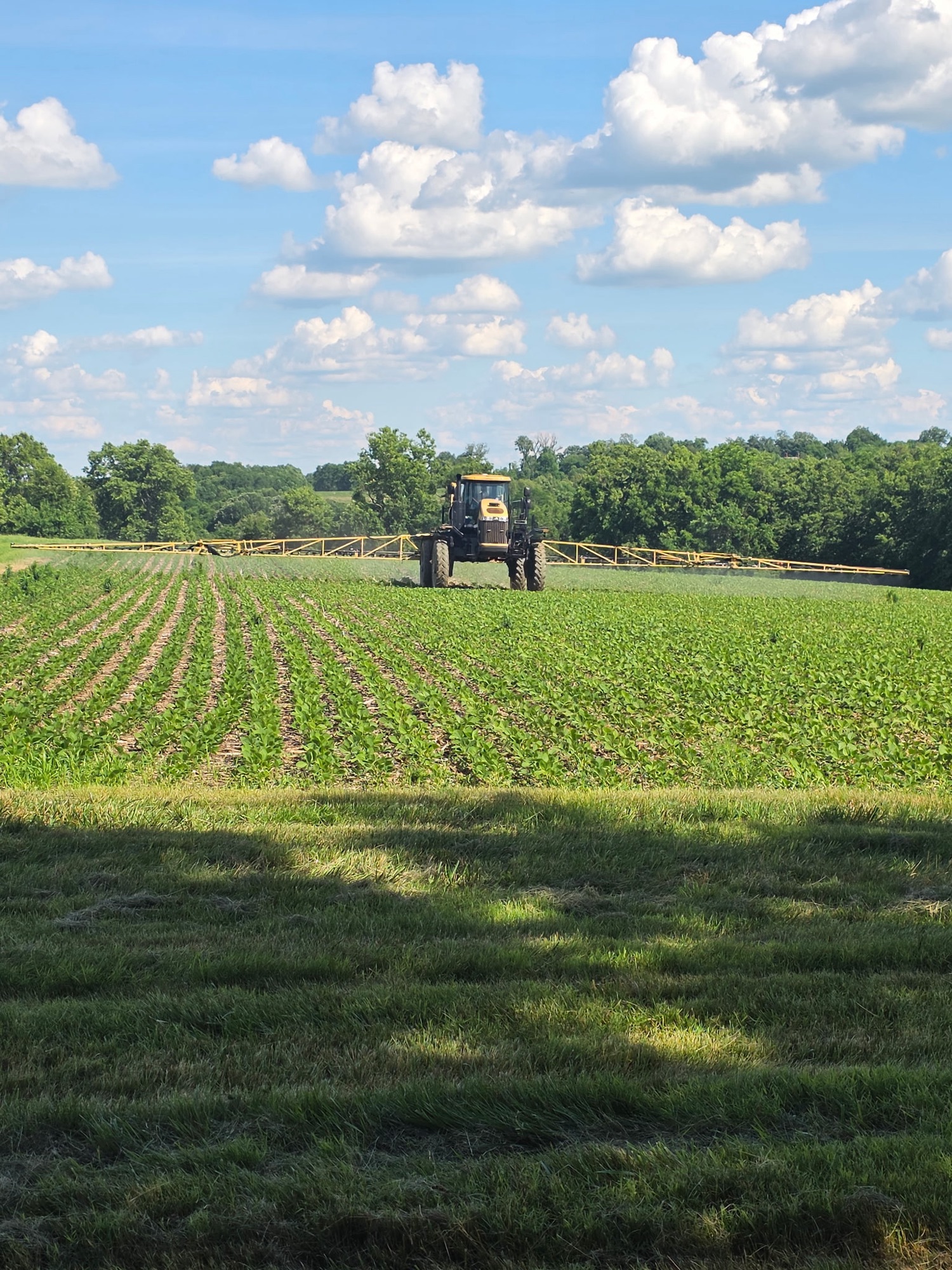 Hinton Mills crop services sprayer working a Kentucky field.